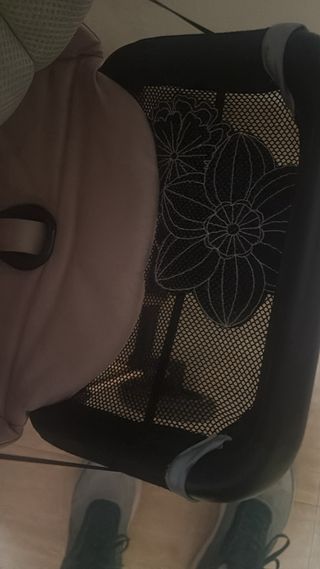 Cybex Mios Silla Flores Rosa