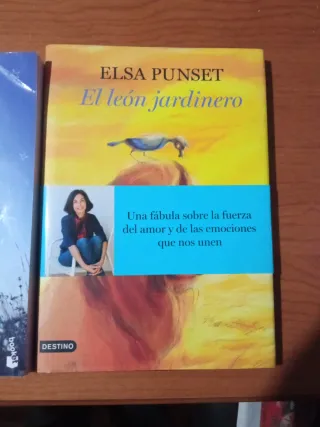 Elsa Puntset ( 2 libros)