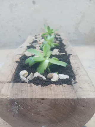 Portavasi in legno e pietra