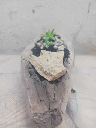 Portavasi in legno e pietra