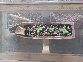 Portavasi in legno e pietra