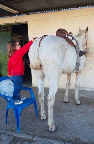 Montura Vaquera Infantil (5-6 años)