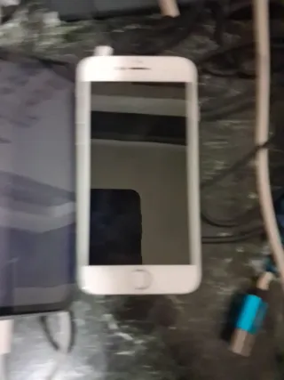 iPhone 11 e iPhone 8