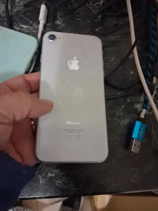 iPhone 11 e iPhone 8