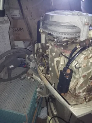 Motor fueraborda Evinrude 35