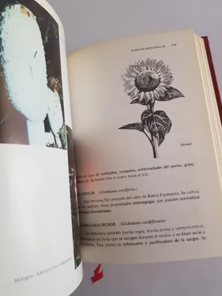 Guia de medicina natural. Plantas medicinales.
