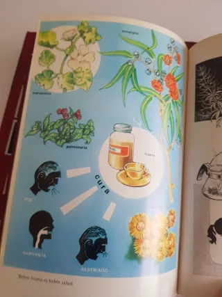 Guia de medicina natural. Plantas medicinales.