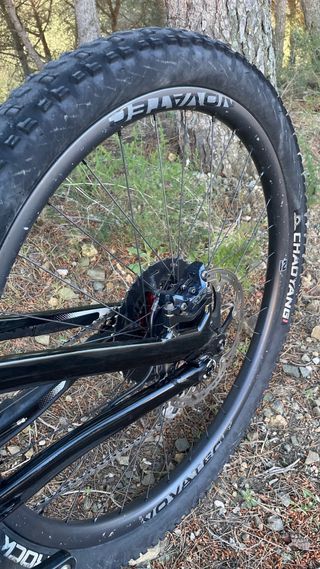 Specialized Turbo Levo Carbon 29