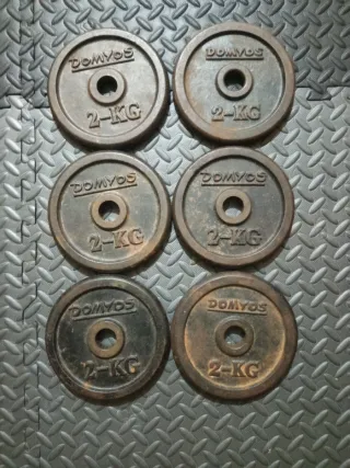 6 Discos de Pesas Domyos 2 kg