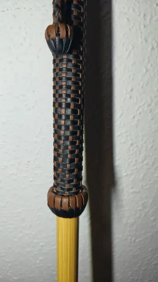 Bastón de senderissmo