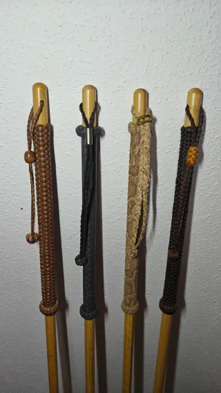 Bastón de senderissmo