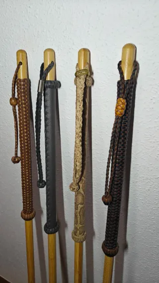 Bastón de senderissmo