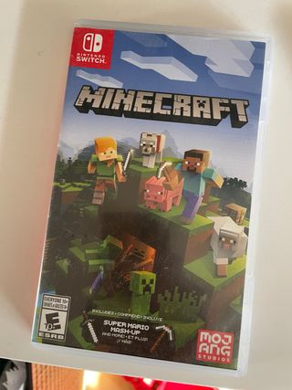 Minecraft Nintendo Switch