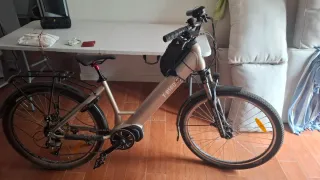 Bicicleta eléctrica T-BIRD