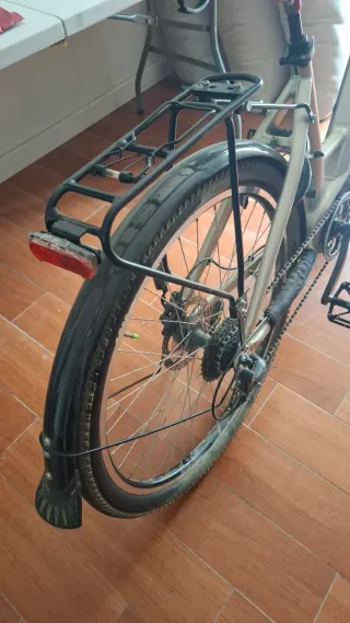 Bicicleta eléctrica T-BIRD