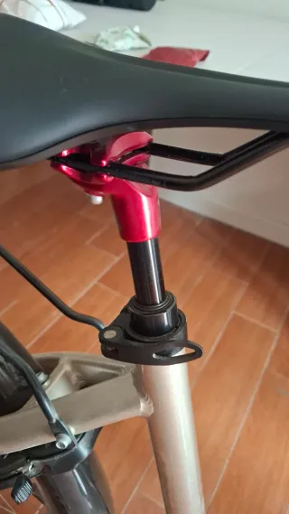 Bicicleta eléctrica T-BIRD