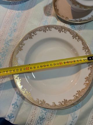 Vajilla Thomas Porcelana Dorada