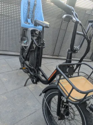 Bici Eléctrica RadRunner