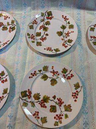 Conjunto vajilla Dordogne Sia