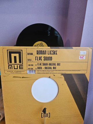 Vinilo Roman Lieske – Flye Sound