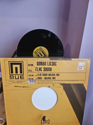 Vinilo Roman Lieske – Flye Sound