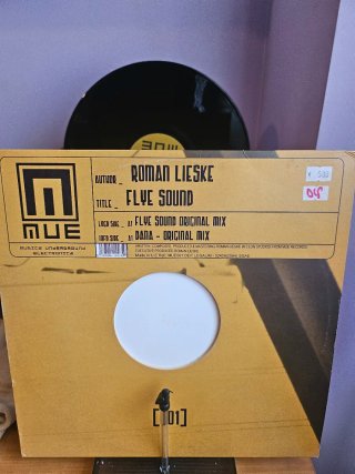 Vinilo Roman Lieske – Flye Sound