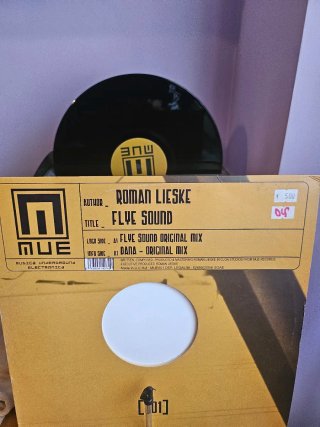 Vinilo Roman Lieske – Flye Sound