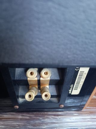 Altavoces Polk Audio RTI10