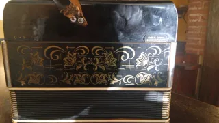 Acordeón Diatónico Negro con Diseño Floral