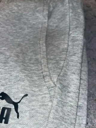 Pantalones deportivos Puma grises