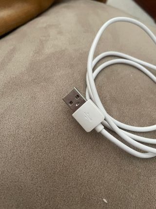Cargador iPhone Apple