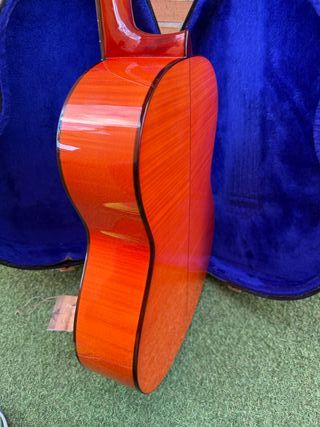 Guitarra Flamenca Paco Castillo 213F Fishman