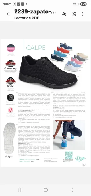 Calzado Dian camarera negro