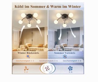 Ventilador de techo Homefire con luz