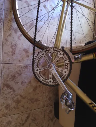 Bicicleta Razesa Clásica Dorada