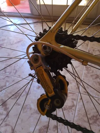 Bicicleta Razesa Clásica Dorada