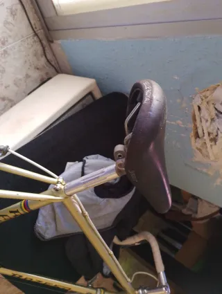 Bicicleta Razesa Clásica Dorada