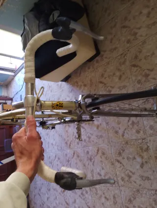 Bicicleta Razesa Clásica Dorada