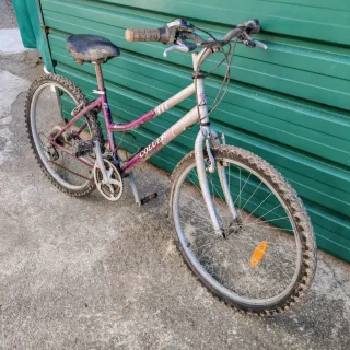 Bicicleta Coluer Morada y Plateada