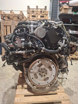 Motor Nissan Navara YS23DDT 2.3 DCI 140kw