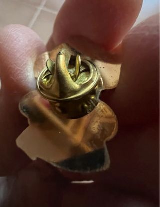 Pin Super Mario Bros Erbe Nuevo