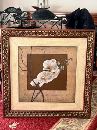 Pareja cuadros decorativos orquídeas