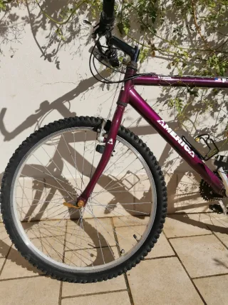 Bicicleta América MTB Morada