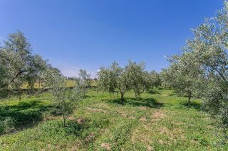 Terreno en venta en Ogíjares