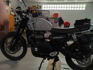 Triumph Scrambler 1200 X gris