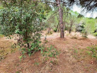 Casa rural en venta en Calella