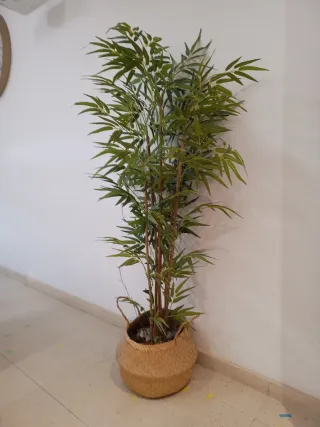 Árbol Bambú Decorativo Muy Mucho