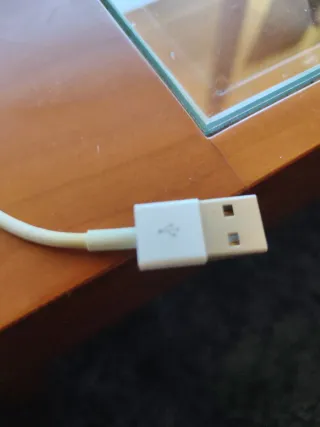 Cable iPhone Apple original