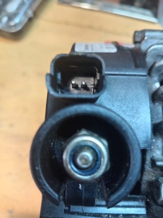 Alternador DENSO Citroen/Peugeot