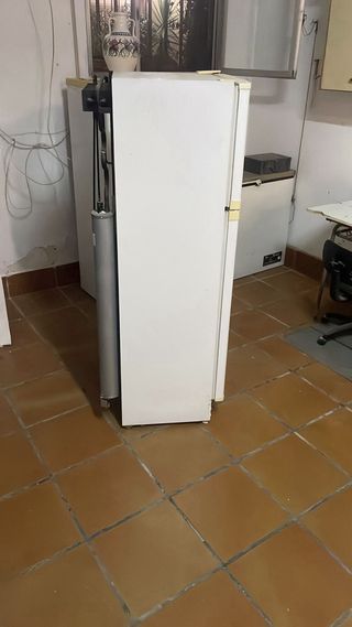 Nevera de gas blanca